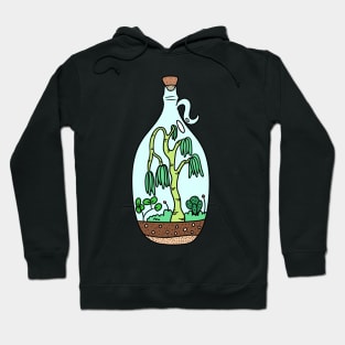 Terrarium 1 color version Hoodie